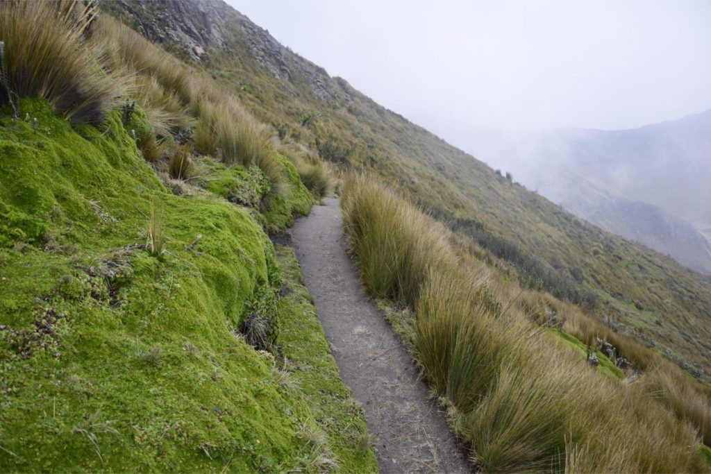 Caminho para o topo do Rucu Pichincha