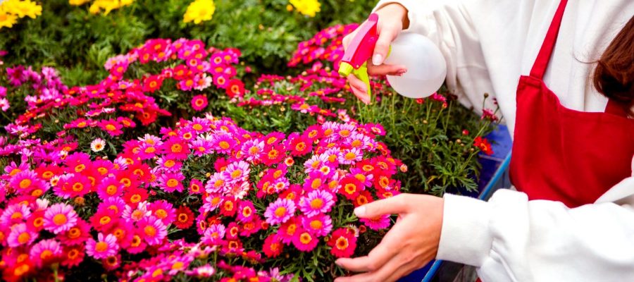 Como cultivar um jardim de flores em pequenos espaços