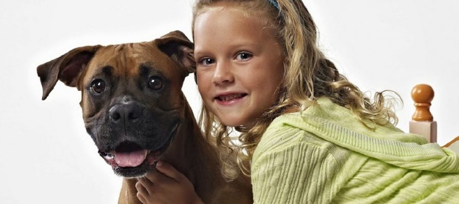 Crianças que crescem com cachorros têm mais inteligência emocional