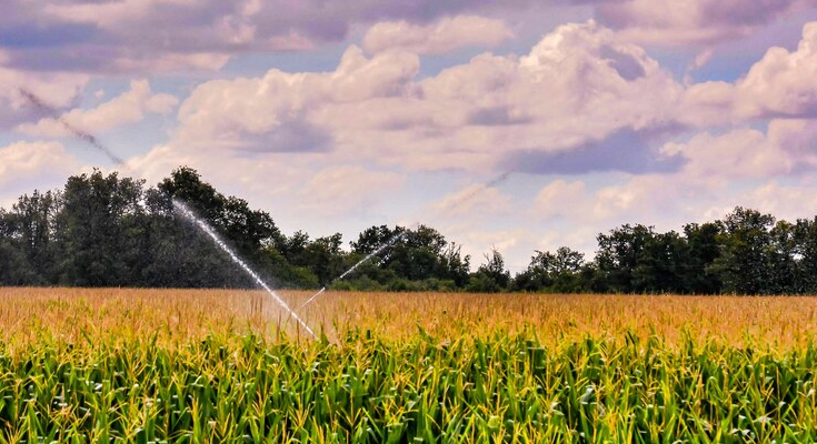 Gestão hídrica no campo: dicas para o uso consciente da água