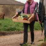 Saiba como a tecnologia no setor agrícola ajuda a reduzir o desperdício alimentar, aumentar a eficiência e promover práticas mais sustentáveis na produção.