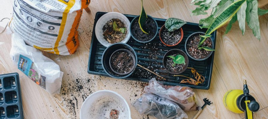 Jardinagem em casa: ideias para espaços pequenos